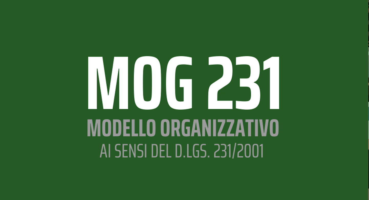 Modello 231
